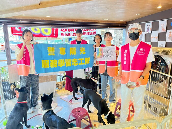 2025年11月30日 陽光志工隊 張媽媽流浪動物之家-送養活動圖片