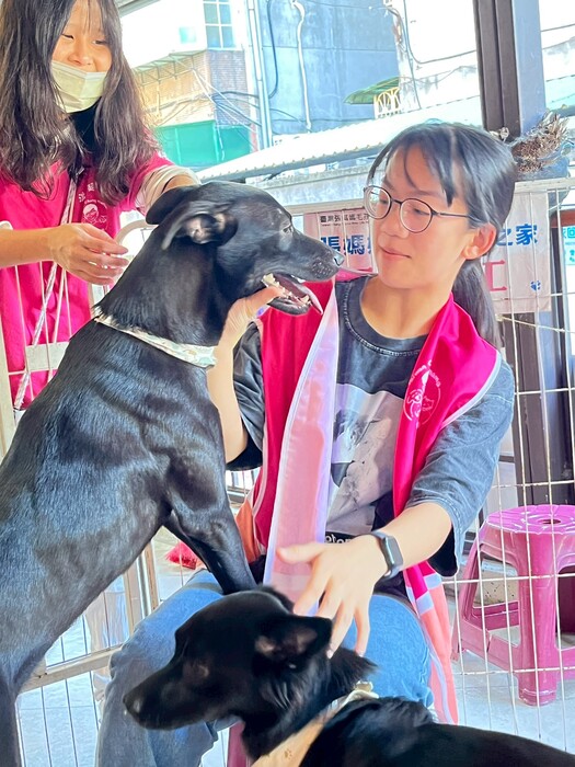 2025年11月30日 陽光志工隊 張媽媽流浪動物之家-送養活動圖片