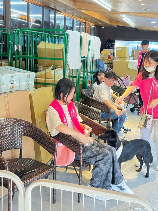 2025年11月30日 陽光志工隊 張媽媽流浪動物之家-送養活動圖片