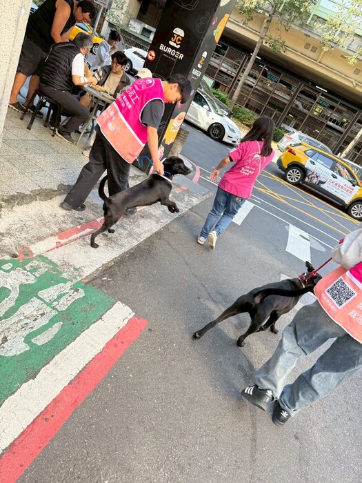 2025年11月29日 陽光志工隊 張媽媽流浪動物之家-送養活動圖片