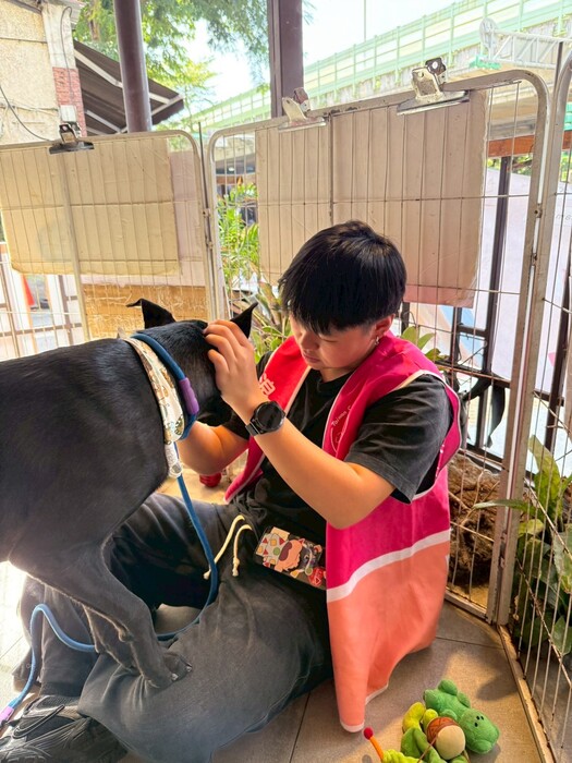 2025年11月29日 陽光志工隊 張媽媽流浪動物之家-送養活動圖片