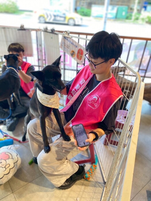 2025年11月29日 陽光志工隊 張媽媽流浪動物之家-送養活動圖片