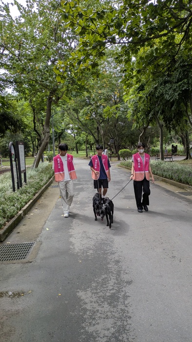 2025年10月19日 樂洋志工隊 張媽媽流浪動物之家圖片