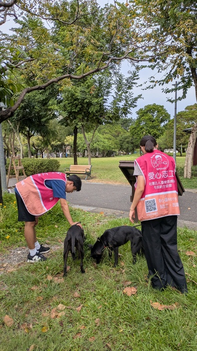 2025年10月19日 樂洋志工隊 張媽媽流浪動物之家圖片