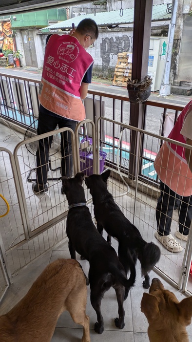 2025年10月19日 樂洋志工隊 張媽媽流浪動物之家圖片